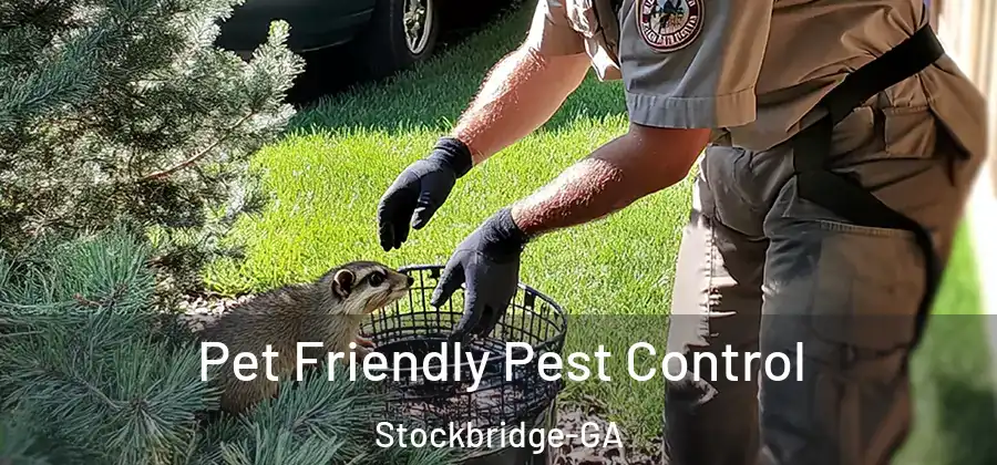  Pet Friendly Pest Control Stockbridge-GA