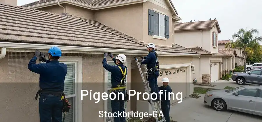 Pigeon Proofing Stockbridge-GA