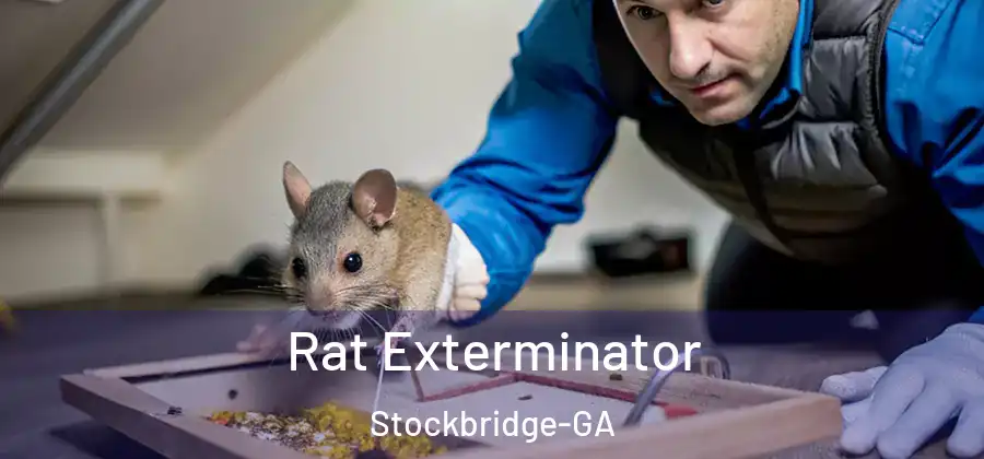 Rat Exterminator Stockbridge-GA