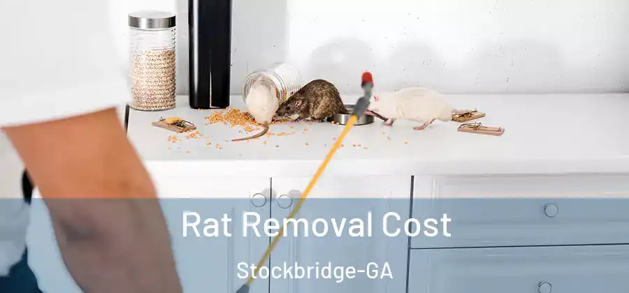 Rat Removal Cost Stockbridge-GA
