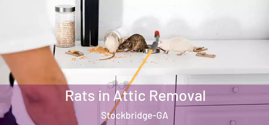 Rats in Attic Removal Stockbridge-GA