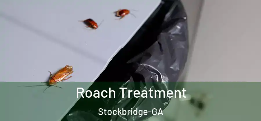 Roach Treatment Stockbridge-GA