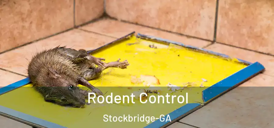 Rodent Control Stockbridge-GA