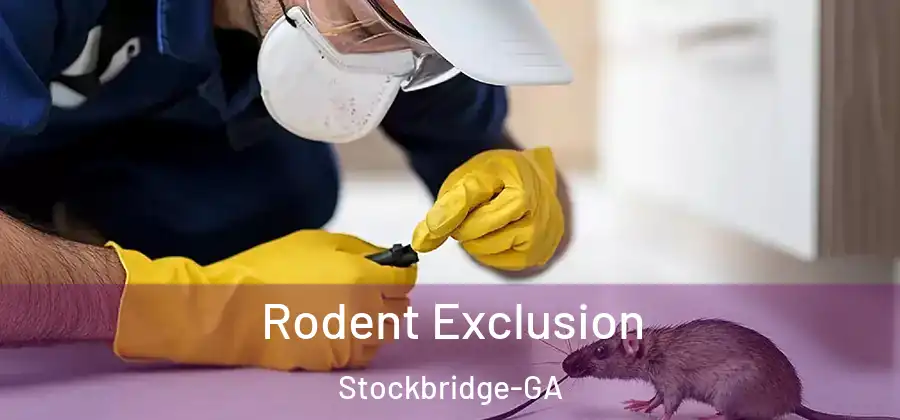 Rodent Exclusion Stockbridge-GA