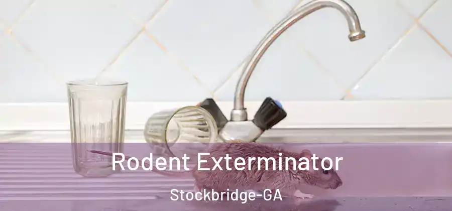 Rodent Exterminator Stockbridge-GA