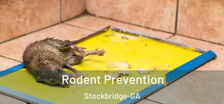 Rodent Prevention Stockbridge-GA