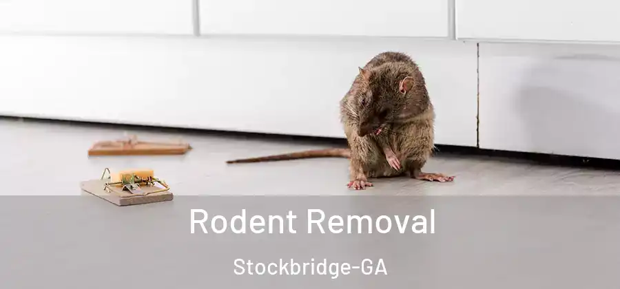 Rodent Removal Stockbridge-GA
