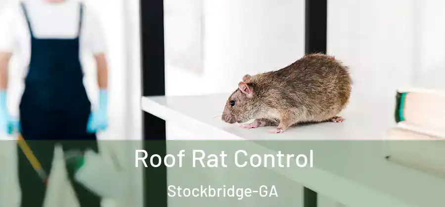 Roof Rat Control Stockbridge-GA