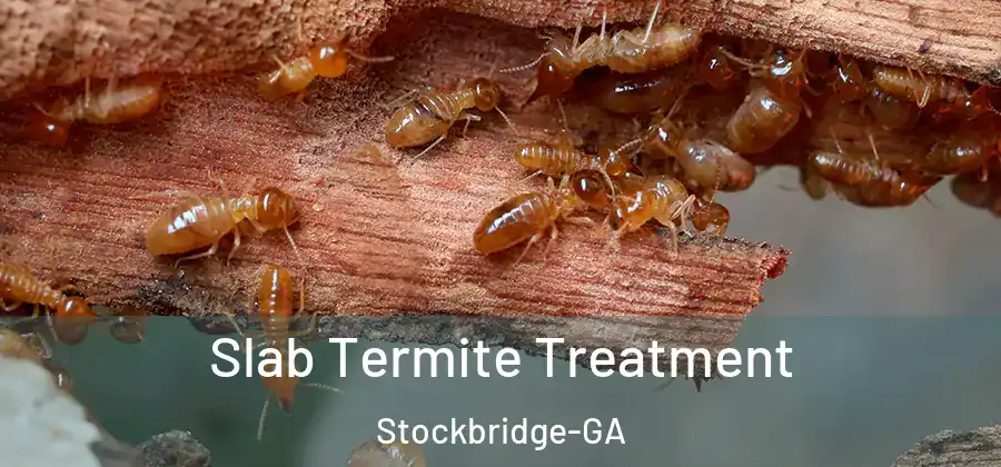  Slab Termite Treatment Stockbridge-GA