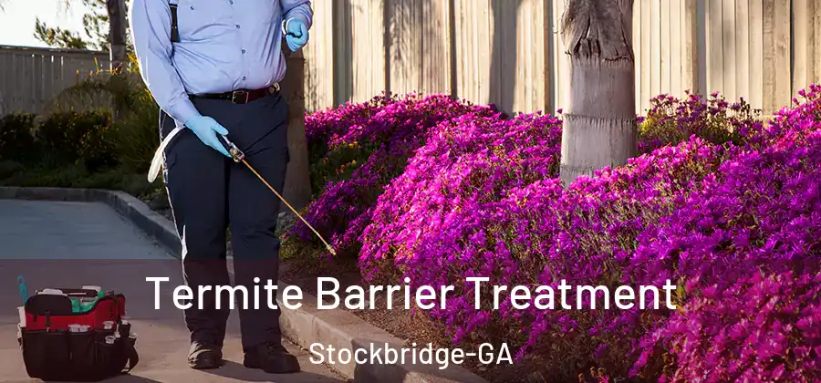 Termite Barrier Treatment Stockbridge-GA