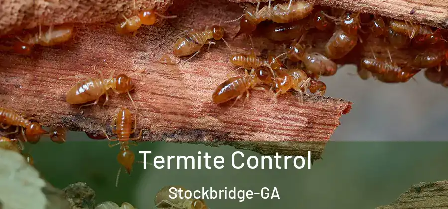  Termite Control Stockbridge-GA