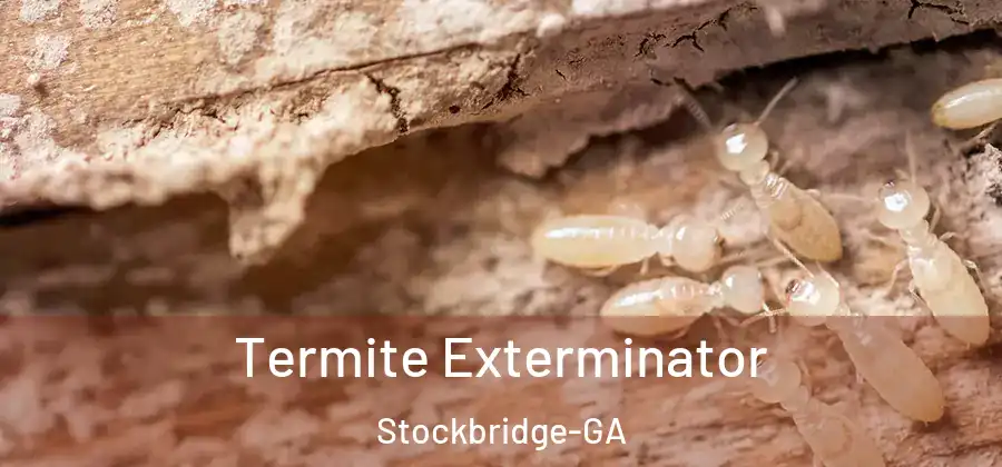 Termite Exterminator Stockbridge-GA
