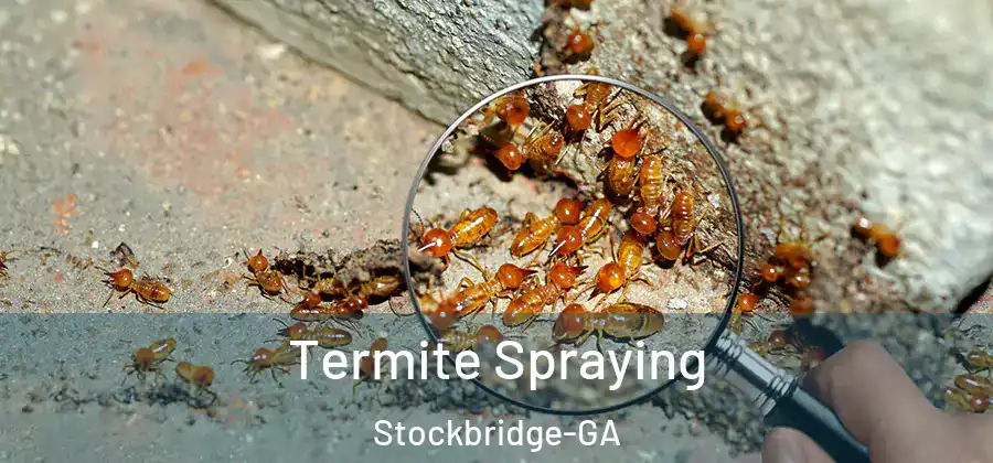 Termite Spraying Stockbridge-GA