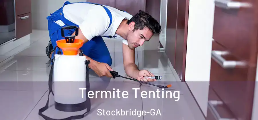Termite Tenting Stockbridge-GA