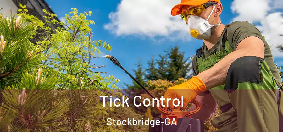 Tick Control Stockbridge-GA