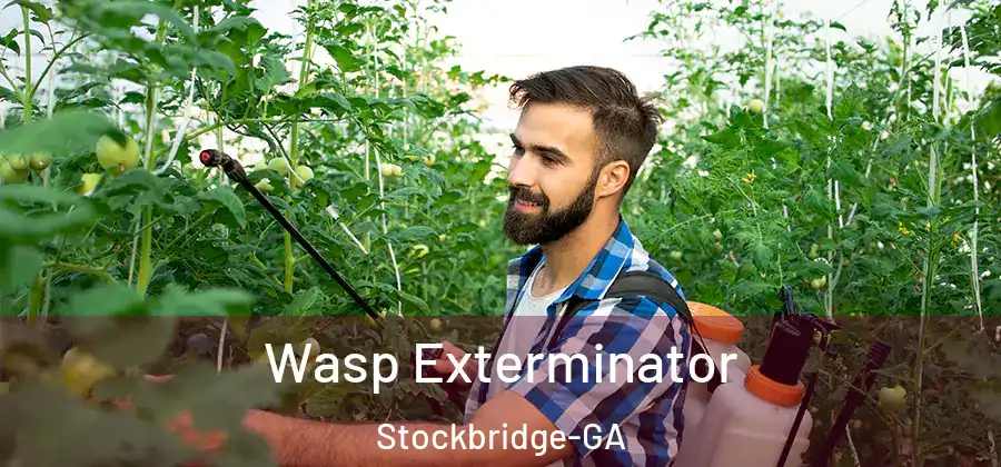 Wasp Exterminator Stockbridge-GA