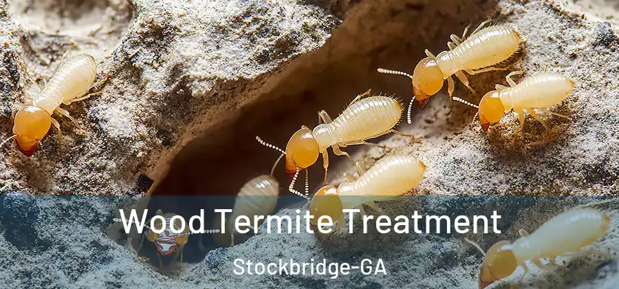Wood Termite Treatment Stockbridge-GA
