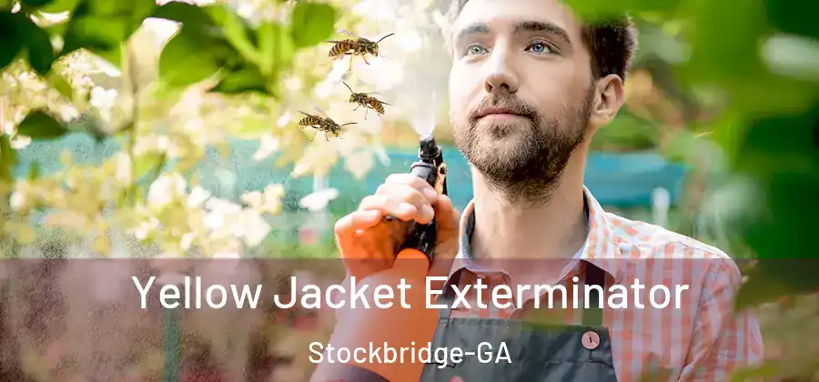 Yellow Jacket Exterminator Stockbridge-GA