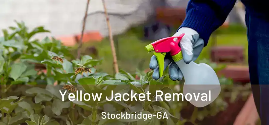 Yellow Jacket Removal Stockbridge-GA